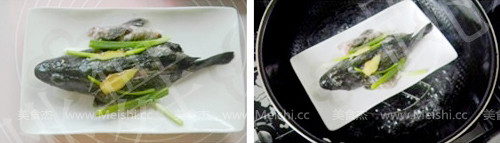 清蒸石斑魚的家常做法步驟圖,清蒸石斑魚怎么做好吃怎么做好吃,清蒸石斑魚的家常做法步驟圖,清蒸石斑魚怎么做好吃的做法步驟