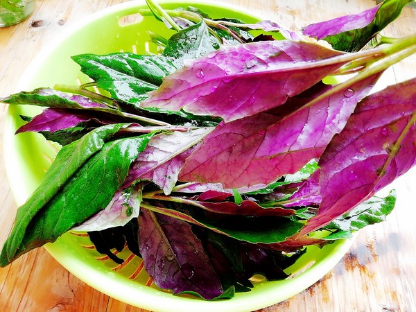 蒜蓉紫貝菜怎么做好吃,蒜蓉紫貝菜的做法步驟