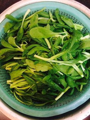 白灼雞毛菜，雞毛菜的最佳打開方式怎么做好吃,白灼雞毛菜，雞毛菜的最佳打開方式的做法步驟