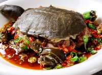 甲魚的家燒做法