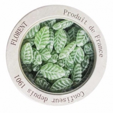 法國(guó)進(jìn)口水果糖 Florent費(fèi)羅倫馬鞭草糖