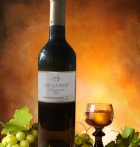 美食活動(dòng)意大利葡萄酒品鑒