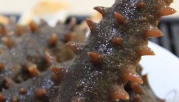 宮品海參3A淡干海參