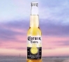 CORONA科羅娜啤酒精釀小麥啤酒