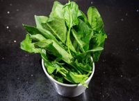 菠菜的做法大全,菠菜怎么做好吃