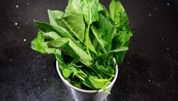 菠菜的做法大全,菠菜怎么做好吃