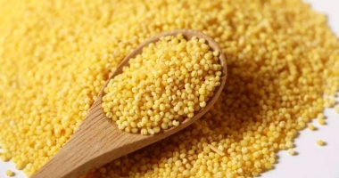 【柴米油鹽】用戶(hù)喜愛(ài)的10大小米品牌