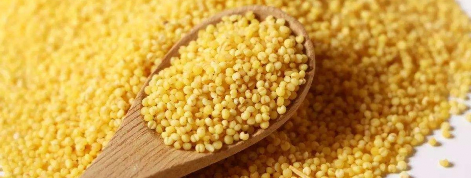 【柴米油鹽】用戶喜愛的10大小米品牌