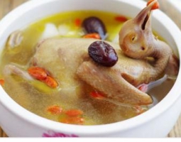 鴿子湯的做法視頻,鴿子湯怎么做好吃