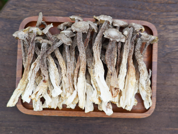 珊初物鹿茸菇干貨