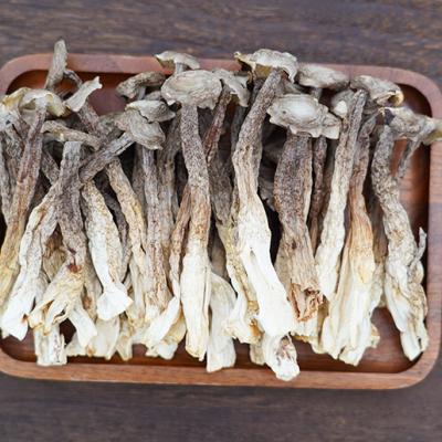 珊初物鹿茸菇干貨