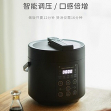 olayks出口日本原款電壓力鍋