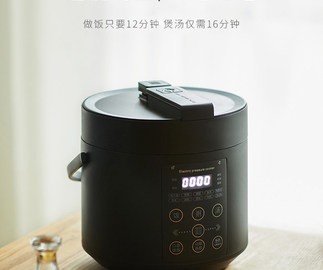 olayks出口日本原款電壓力鍋