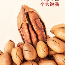 三只松鼠_量販碧根果500g