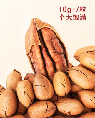 三只松鼠_量販碧根果500g