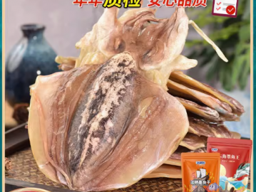 浙漁船墨魚干500g干貨